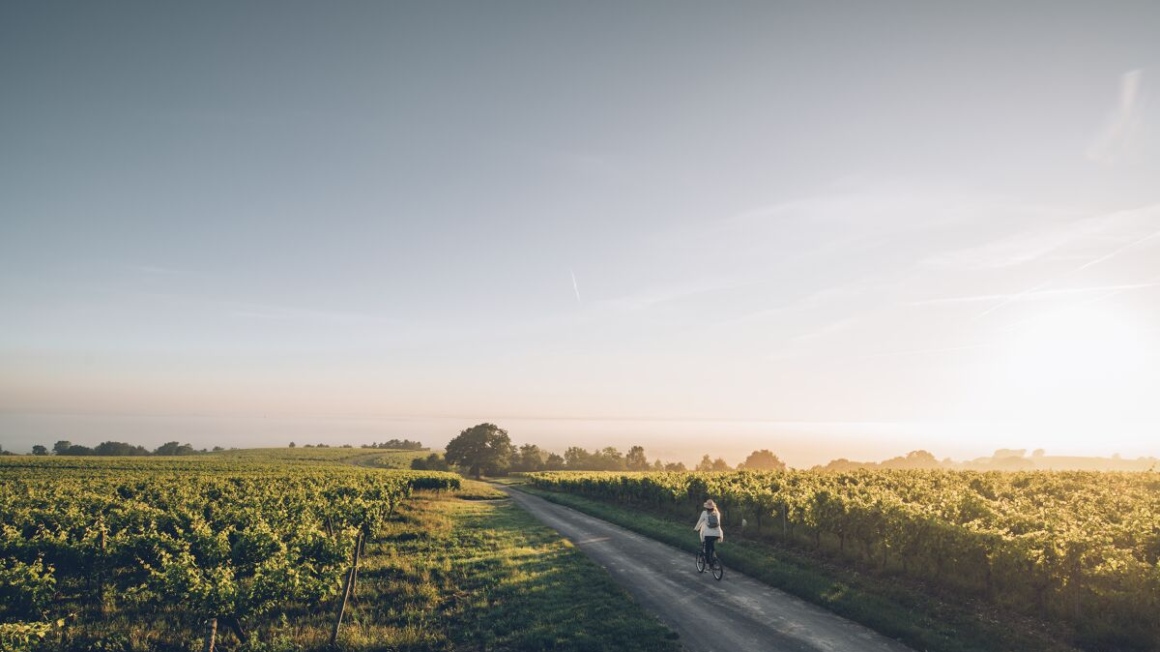 Balade Nature Charentes Voyagez Partout En Europe